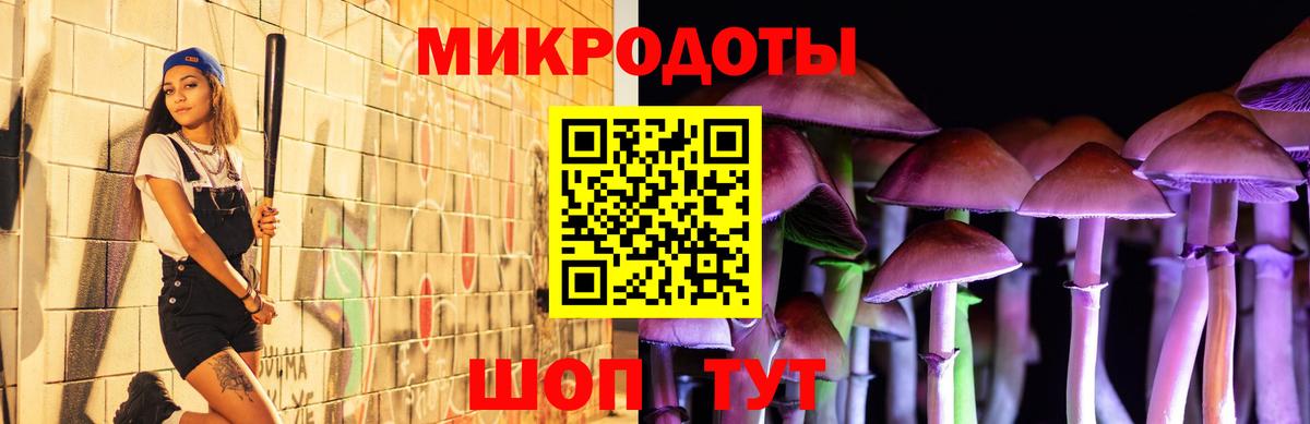 Галлюциногенные грибы Psilocybe  Вход с VPN  Галлюциногенные грибы Psilocybe  Лениногорск 